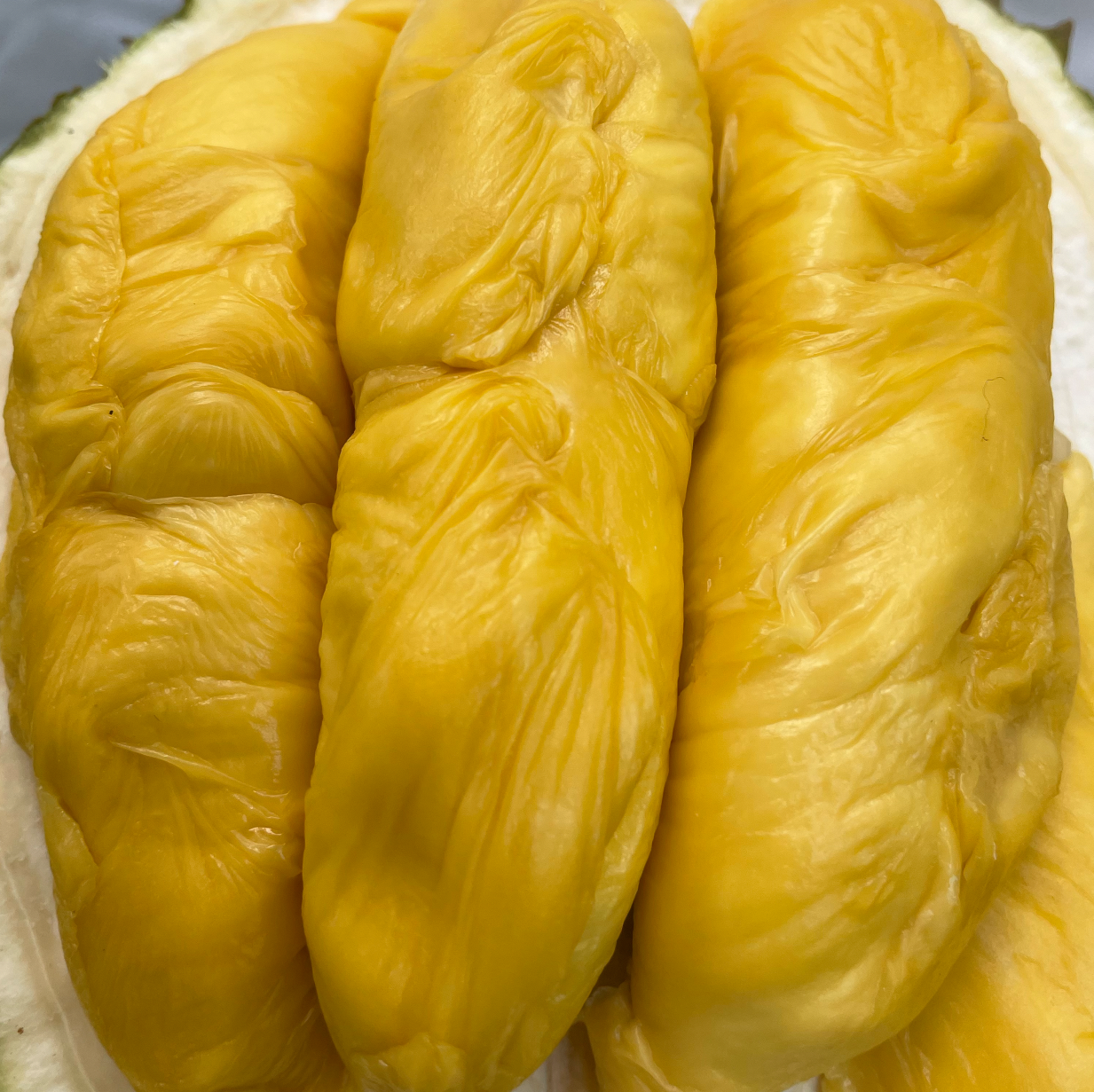 Alternative view of Tiger Old Tree MSW Durian (800g Box - All Meat)